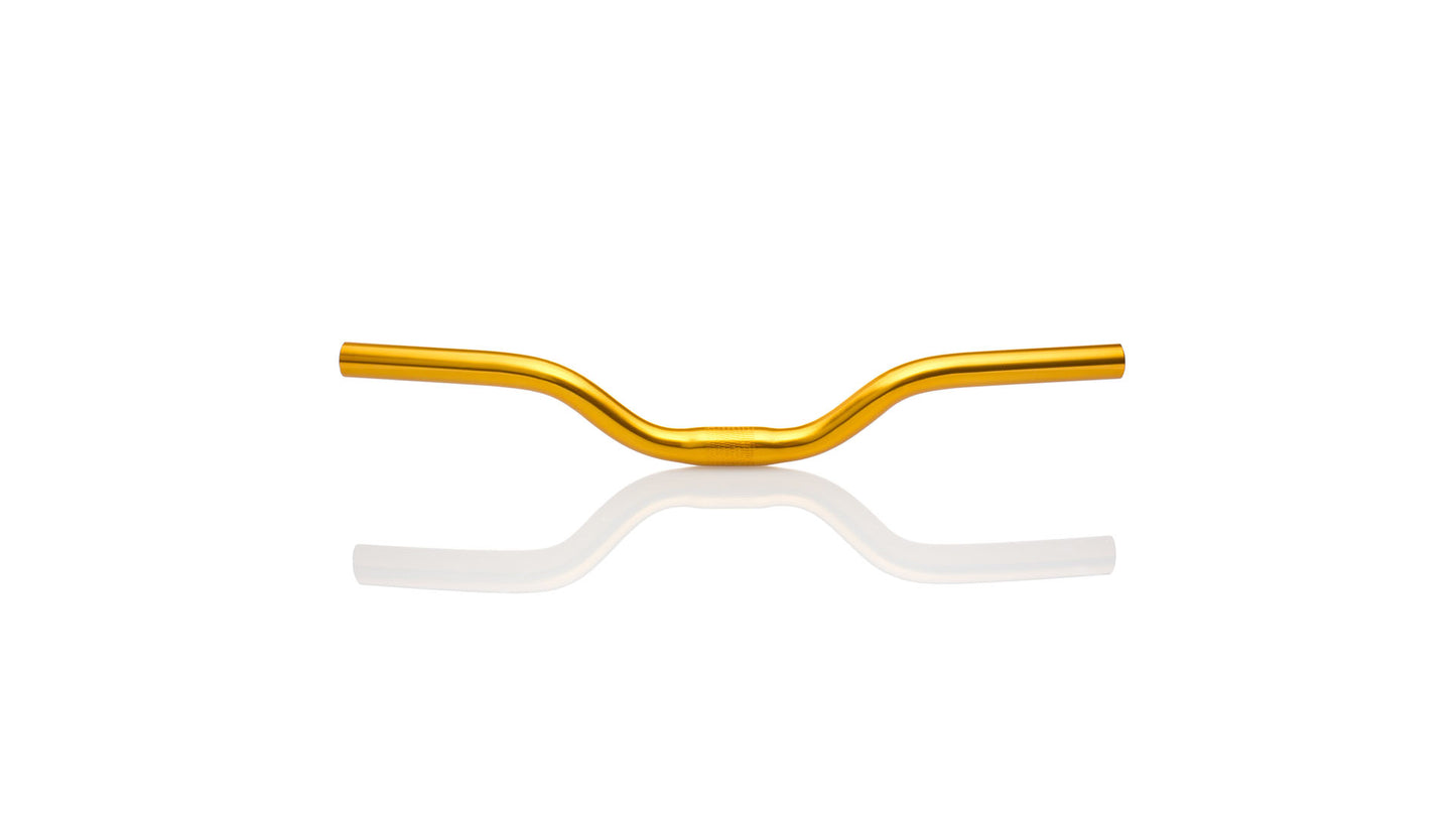 FABRIK - Guidon Riser 50