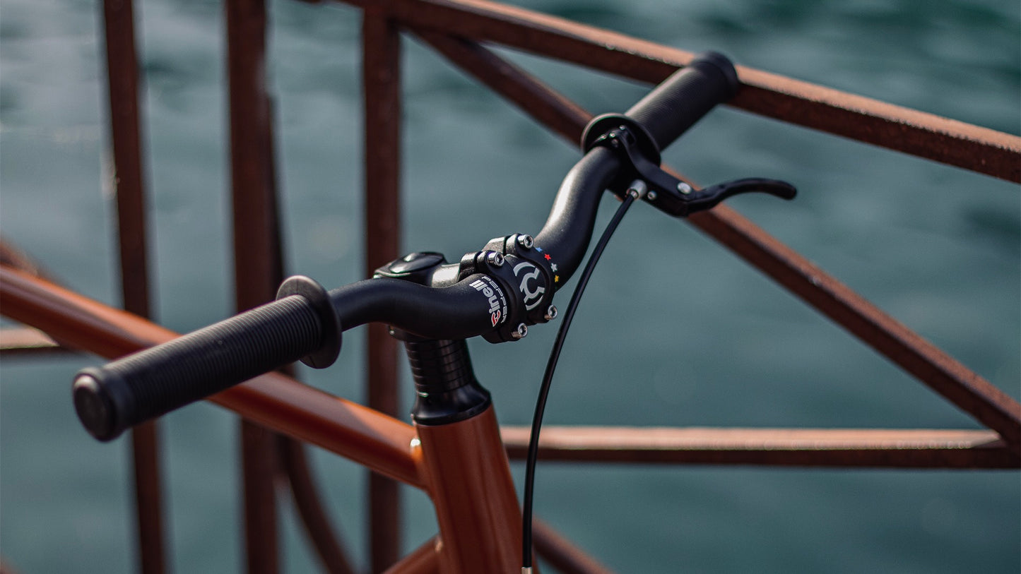VC1 - Fixie BLB Viper